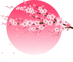 Sakura Bliss in London