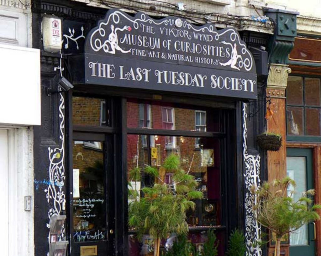 Eclectic curiosity collection featuring unusual artefacts and vintage displays